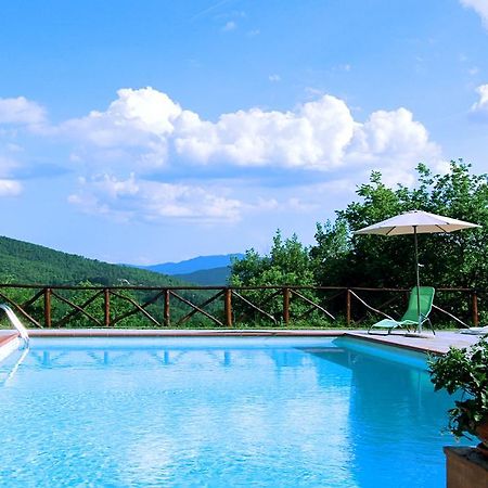 Agriturismo Badia Ficarolo Palazzo del Pero Ngoại thất bức ảnh