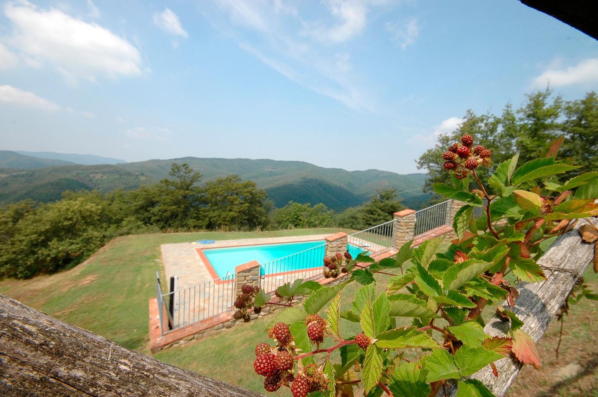 Agriturismo Badia Ficarolo Palazzo del Pero Ngoại thất bức ảnh
