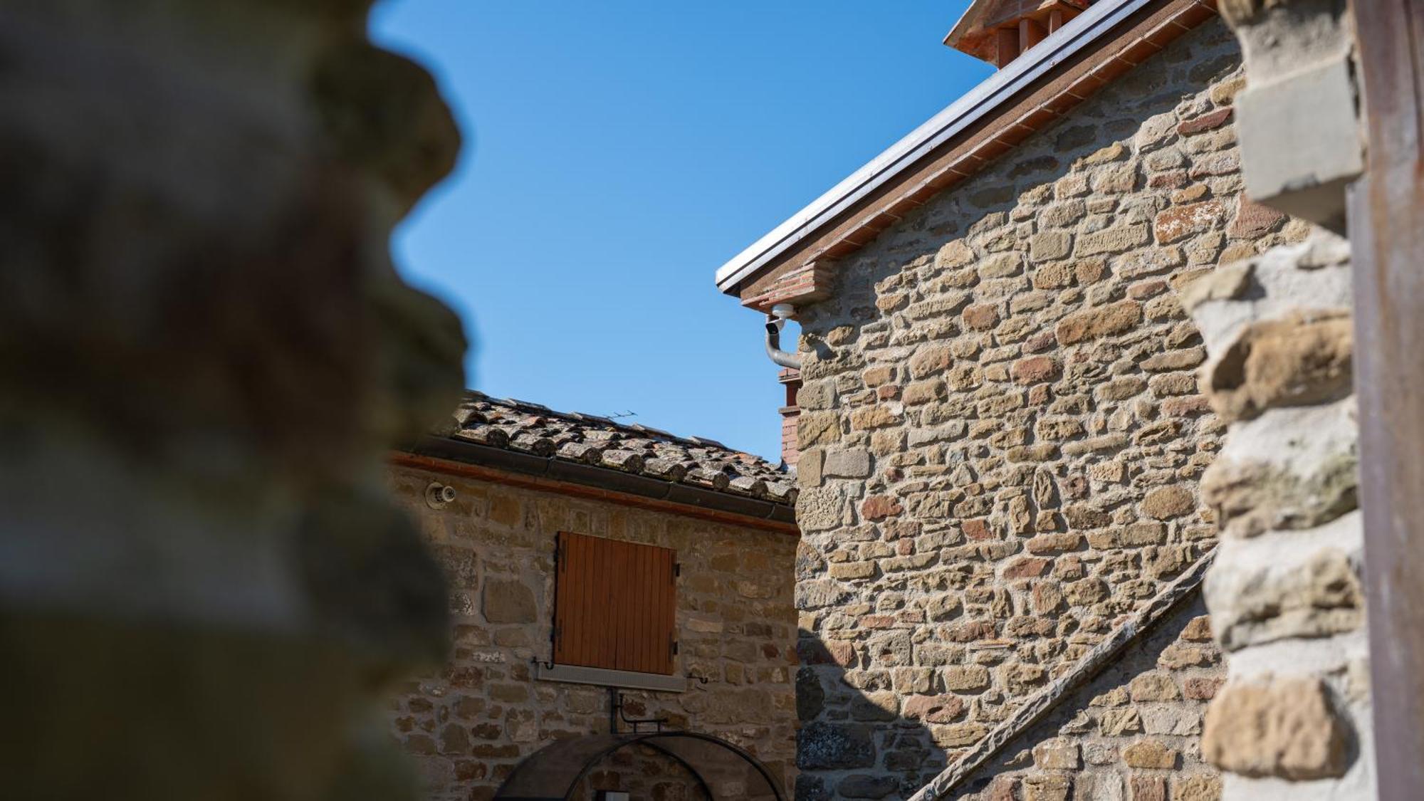 Agriturismo Badia Ficarolo Palazzo del Pero Ngoại thất bức ảnh
