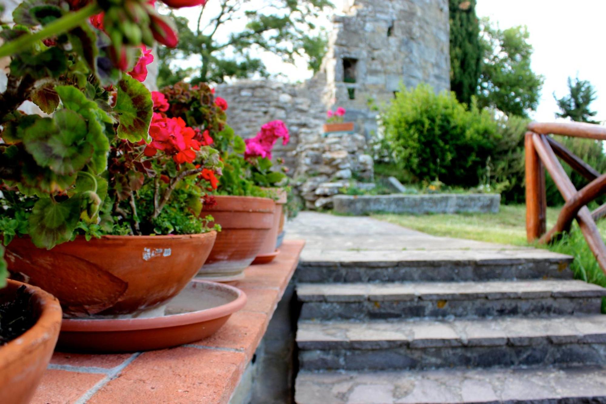 Agriturismo Badia Ficarolo Palazzo del Pero Ngoại thất bức ảnh